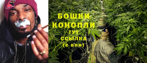 прущие крисы Аркадак