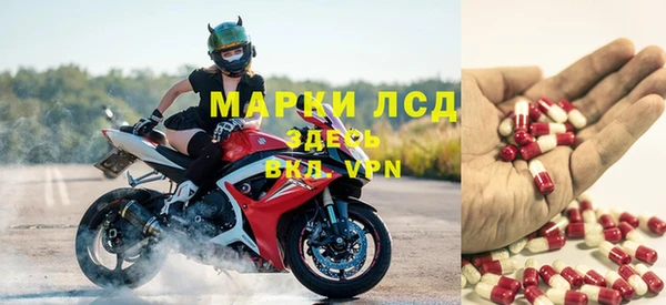 прущие крисы Аркадак