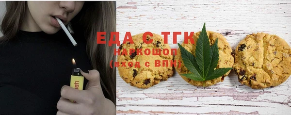 молекула духа Снежногорск