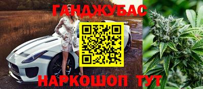 СК Бердск