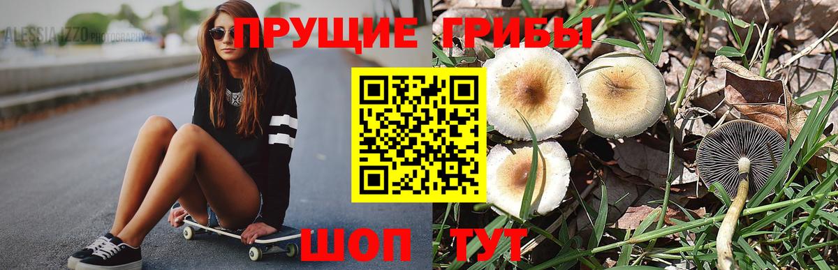 Галлюциногенные грибы мухоморы  как найти закладки  Асбест  Псилоцибиновые грибы ЛСД  Вход с VPN 